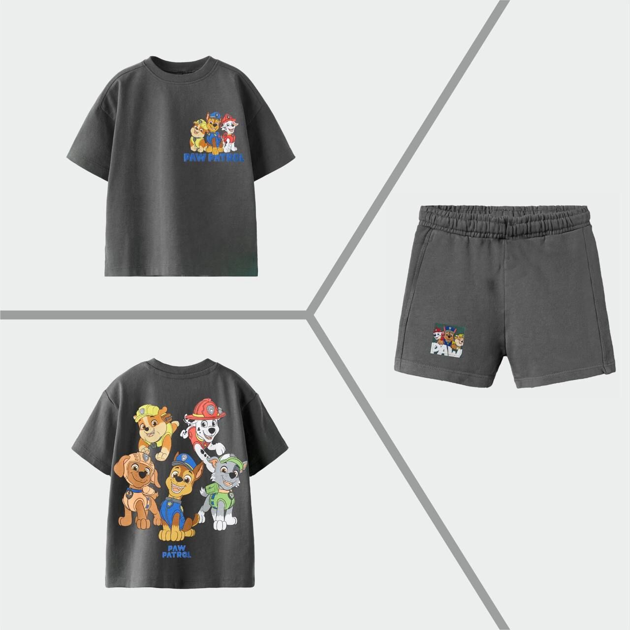 Paw Patrol Erkek Çocuk Takım