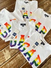 İthal Gap Gökkuşağı Erkek Çocuk T-shirt